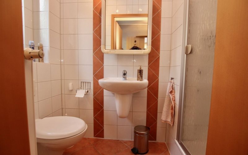 Badezimmer / Gäste-WC