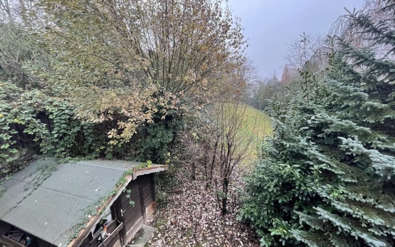 Aussicht Garten
